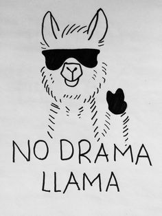 a drawing of a llama wearing sunglasses with the words no drama llama on it