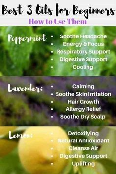 Best 3 Essential Oils for Beginners - Healthy  Happy Blog Sleep Hacks, Essential Oils For Pain, Clear Skin Tips, Aromatherapy Gifts, Healing Oils, Best Essential Oils, Aromatherapy Oils, Essential Oil Uses