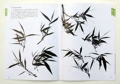 an open book with black and white images of bamboo leaves on it's cover