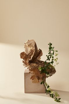 a vase with some plants in it sitting on a table next to a white wall