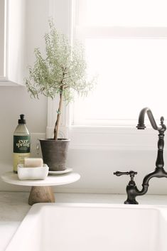 a white sink sitting under a window next to a potted plant and soap dispenser