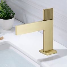 a gold faucet sitting on top of a white sink next to a potted plant