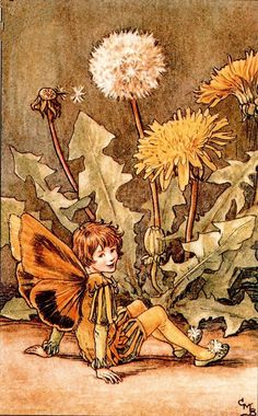 the dandelion fairy is sitting on the ground