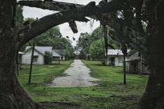 a dirt road surrounded by trees and houses