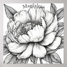 a black and white drawing of a large flower with the word madam on it's side