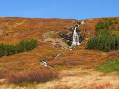 a waterfall in the middle of a grassy field