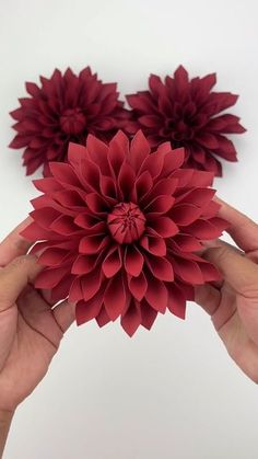 two hands holding red paper flowers against a white background