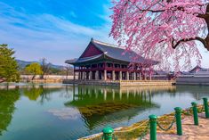 Korean Architecture, Gyeongbokgung Palace, Travel Korea, Japan Temple, Asian Architecture, Pretty Landscapes