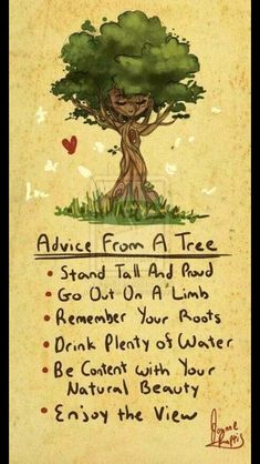 a tree with the words advice from a tree