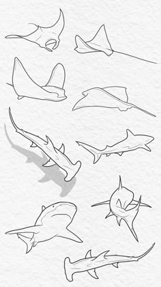 Save = Follow | Creative Tattoos by  Myra Stiles Simple Stingray Tattoos, One Line Stingray, Simple Aquatic Tattoo, Fine Line Aquatic Tattoo, Ocean Aesthetic Doodles, Line Art Tattoos Animals, Sea Animal Line Art, Moveable Tattoo, Small Animal Tattoos For Women Simple