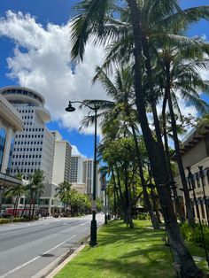 palm trees line the street in front of tall buildings