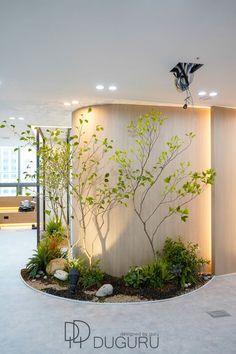 an indoor garden with trees and plants on the wall