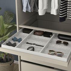 an open drawer with sunglasses and other items on the shelf next to a potted plant