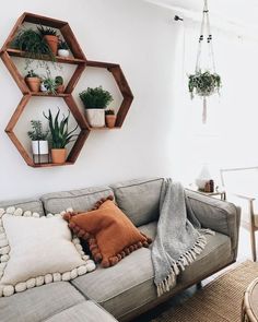 a living room filled with furniture and potted plants on top of shelving units