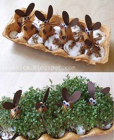 two pictures of food in the shape of mice on top of some plants and grass