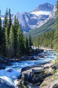 a river flowing through a lush green forest filled with trees and mountains in the background