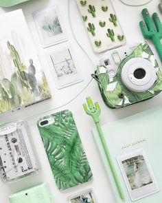 the contents of a green phone case laid out on a table with cactuses and other items