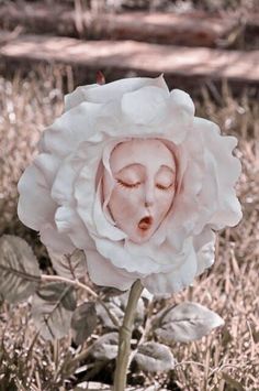 a large white flower with a woman's face in the center and eyes closed