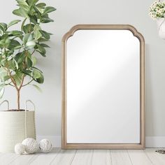 a mirror sitting on top of a wooden floor next to a potted plant and vase