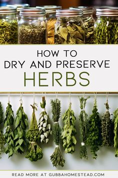 how to dry and preserve herbs