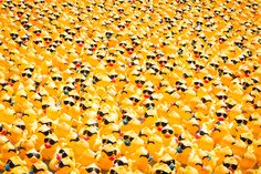 a large group of people wearing yellow hats and sun glasses in the shape of ducks