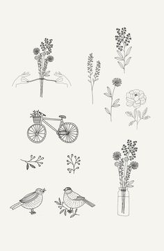 various drawings of flowers and birds in vases