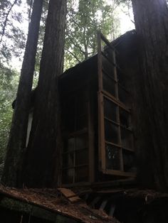 a tree house in the middle of a forest with lots of tall trees around it