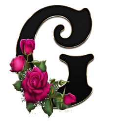 the letter s is decorated with pink roses