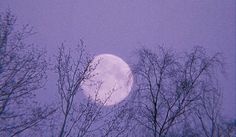 the moon is seen through some trees in the night sky with no leaves on it