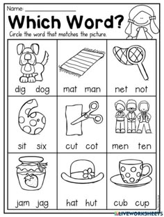 a printable worksheet for which word is in the picture and it has pictures on