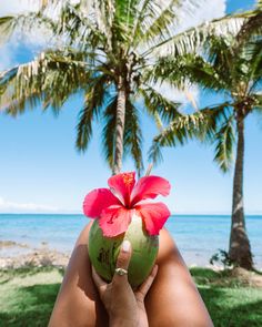 a person holding a coconut with a flower on it