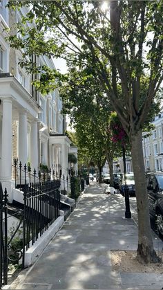 a row of white townhouses on a street with trees and cars parked along the sidewalk