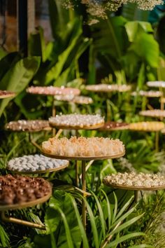 there are many different desserts on the trays in the garden, and one is for sale