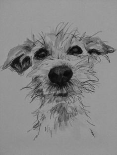 a black and white drawing of a dog's face