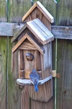 a bird house with two blue birds on it's side and another bird in the background