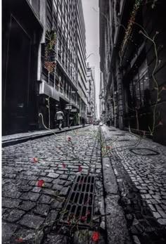 an empty city street with red flowers growing on the grate in the middle, and tall buildings