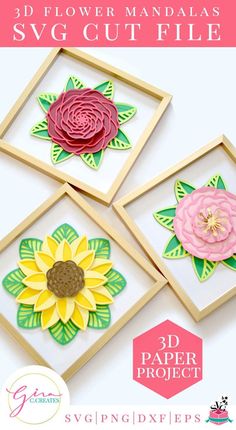 three framed paper flowers with text overlay that says free svg cricut file