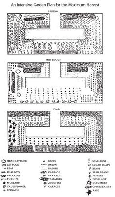 the plan for an intense garden plan for the maximum harvest