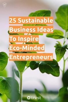 some green plants with the words 25 sustainable business ideas to inspire eco - minded enterprises