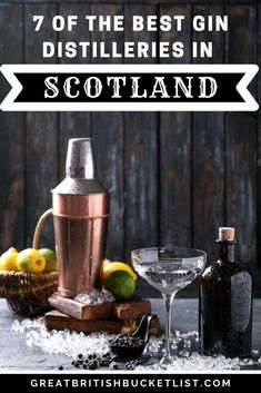 the best gin distilleries in scotland