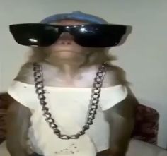 a monkey wearing sunglasses and chain around its neck