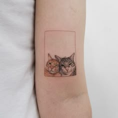 two cats in a square tattoo on the arm