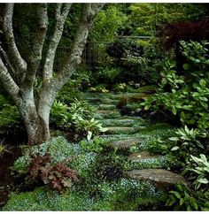 a stone path in the middle of a garden