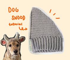 a dog is wearing a knitted hat with horns on it's head and the words dog snowd written in arabic