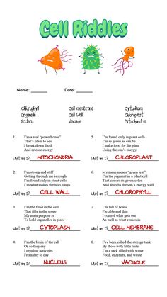 cell riddles worksheet for kids with pictures and text on the bottom page