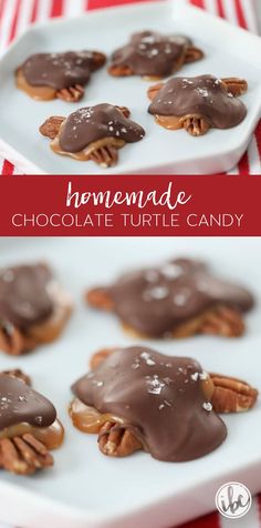 chocolate turtle candy on a white plate