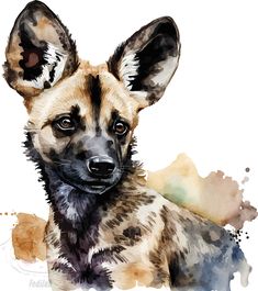 a watercolor painting of a dog's face with ears up and eyes wide open