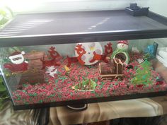 a fish tank filled with lots of decorations