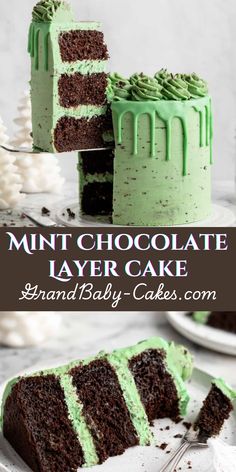 A festive combination of decadent chocolate, sweet mint, and a beautiful mint green color make this Mint Chocolate Cake perfect for a holiday celebration.  A festive combination of decadent chocolate, sweet mint, and a beautiful mint green buttercream this cake is perfect for the holidays, birthdays, or any celebration. #stpatricksday #mintchocolatecake #homemadecake