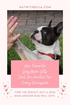 a black and white dog with its paw up in the air, holding it's owner's hand